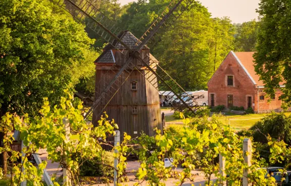 Wiatrak typu Holender