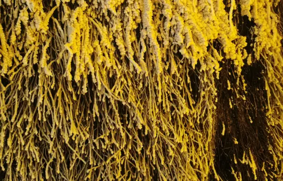 Hotel Amber Port Darłówko