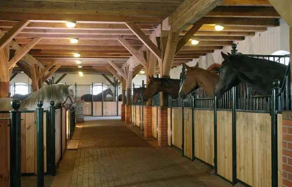 Stadnina koni i szkoła jazdy konnej