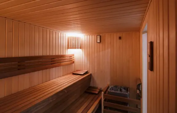 Falenty Biznes i Wypoczynek sauna