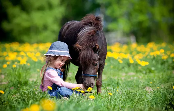 Pobyt zooterapeutyczny