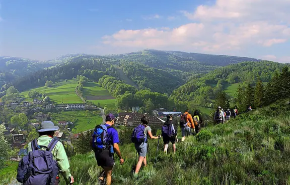 IMPREZY INTEGRACYJNE