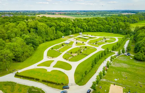 Łąka wielofunkcyjna