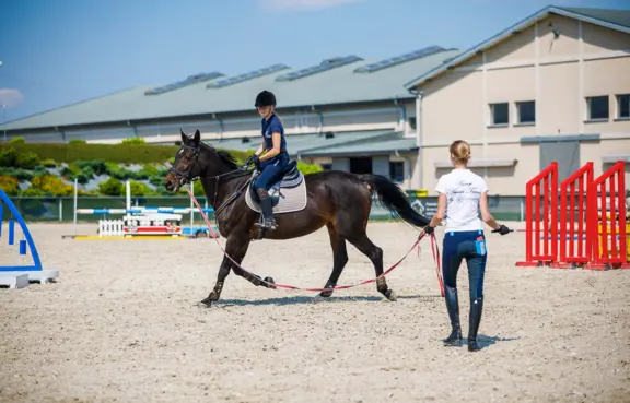 Trening grupowy w lesie