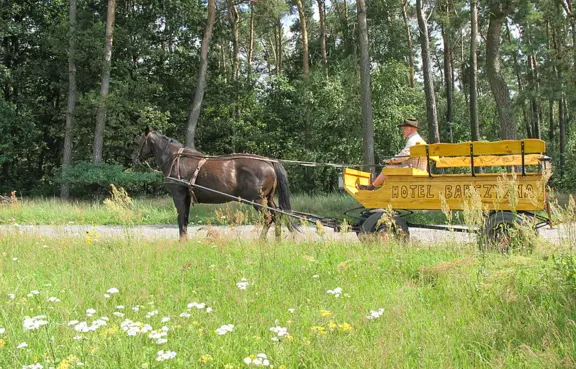 Przejażdżki bryczką