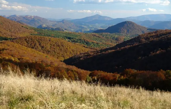 Atrakcje w Villa Neve