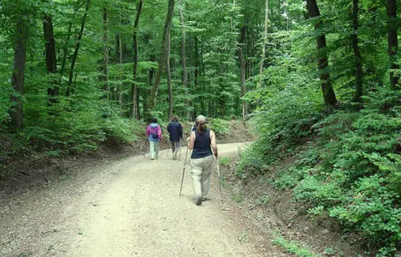 Nordic Walking