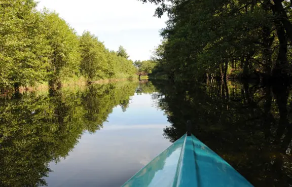 Spływy kajakowe Piaśnicą do morza
