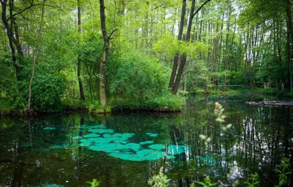 Niebieskie Źródła