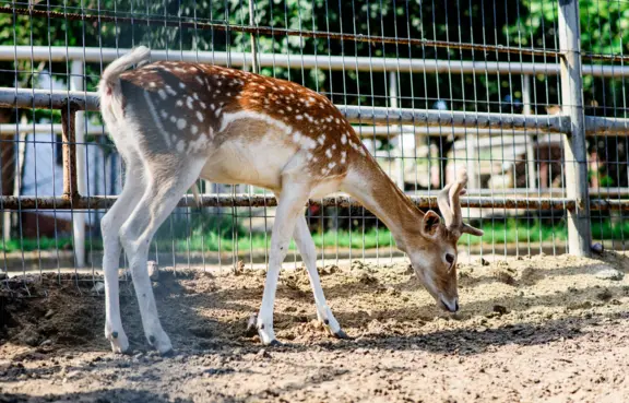 Rodzinny Park Rozrywki