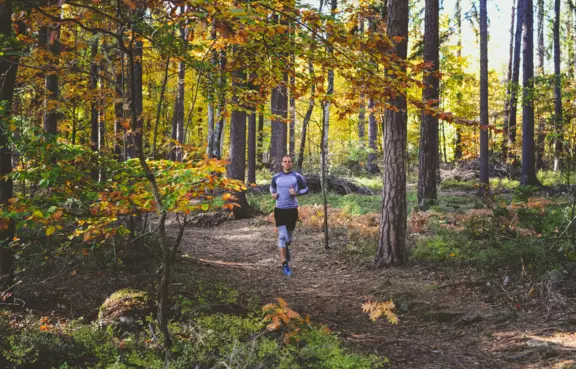Zajęcia sportowe w plenerze