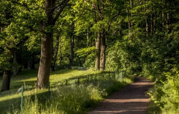 Trasy piesze i rowerowe