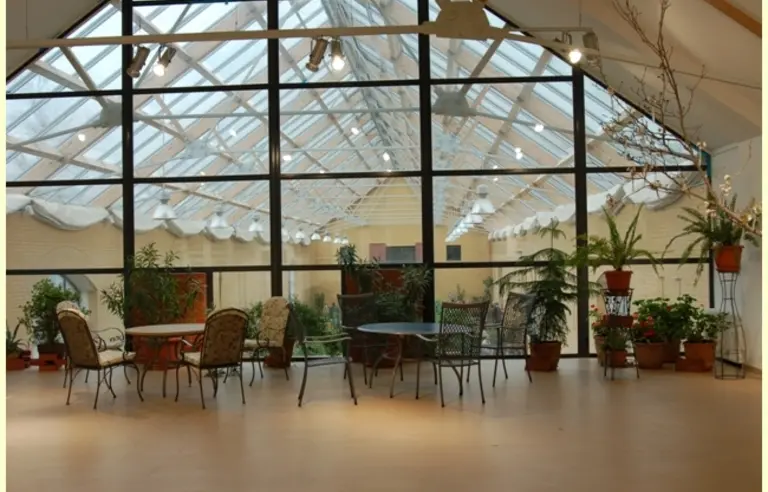 Ogród Dendrologiczny w Przelewicach - zdjęcie 1