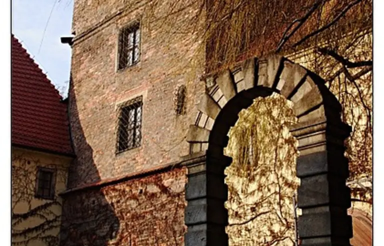 Muzeum Militariów - zdjęcie 1