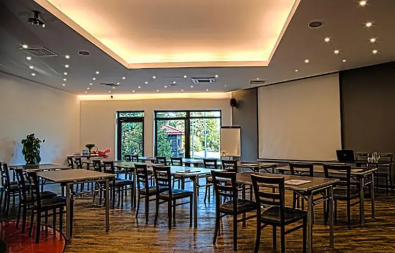 Czarny Kos - zdjęcie 1