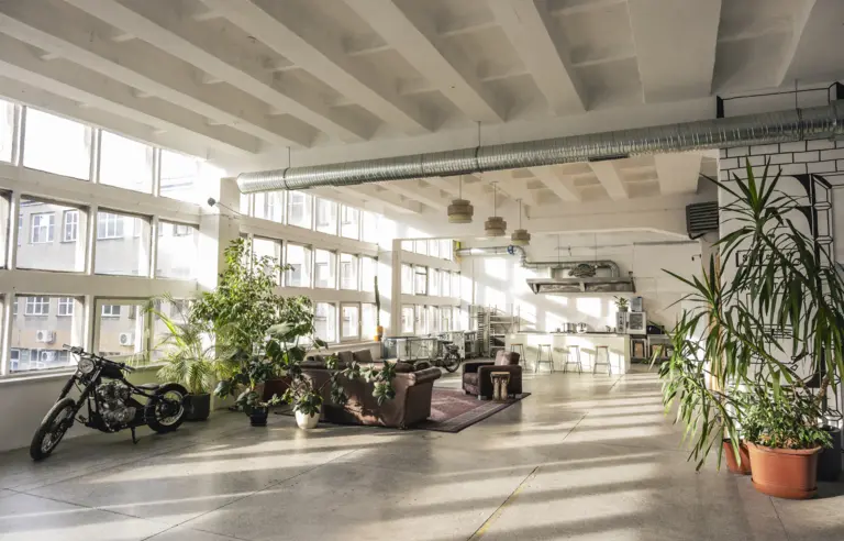 The Hub Vision - photo 1