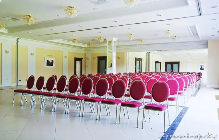 Pałac Wąsowo - photo 1