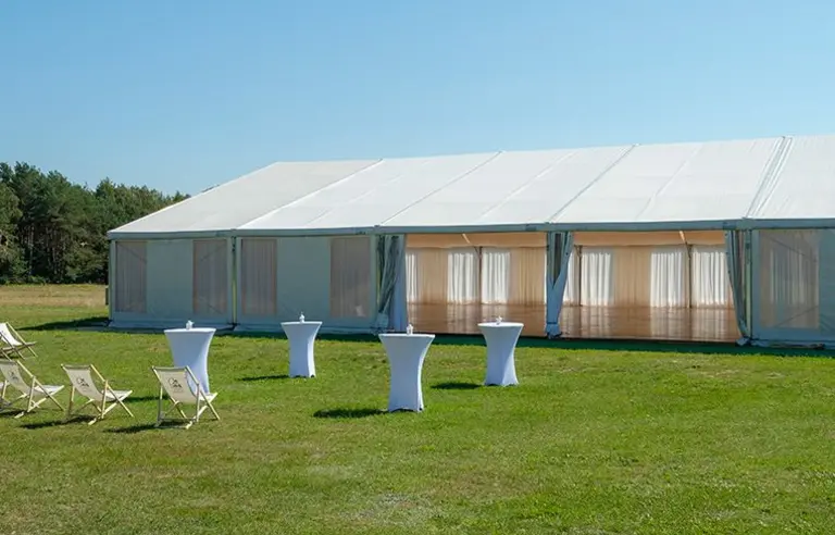 Nosselia - zdjęcie 1