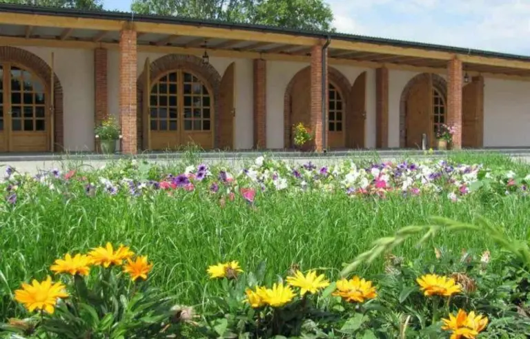 Pod Arkadami Korczew