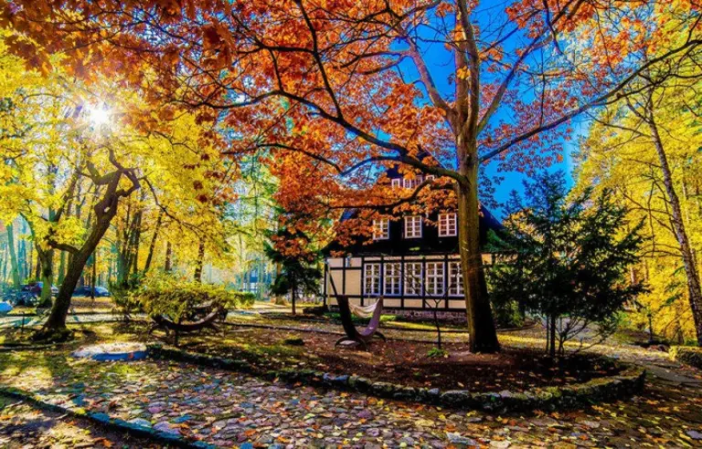 Smolarnia Hotel & Restaurant - zdjęcie 1