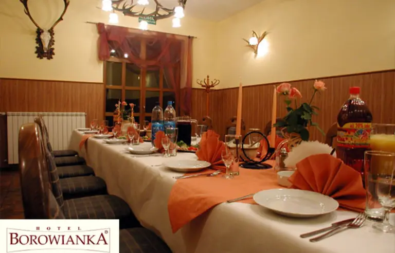 Hotel Restauracja Borowianka - zdjęcie 1