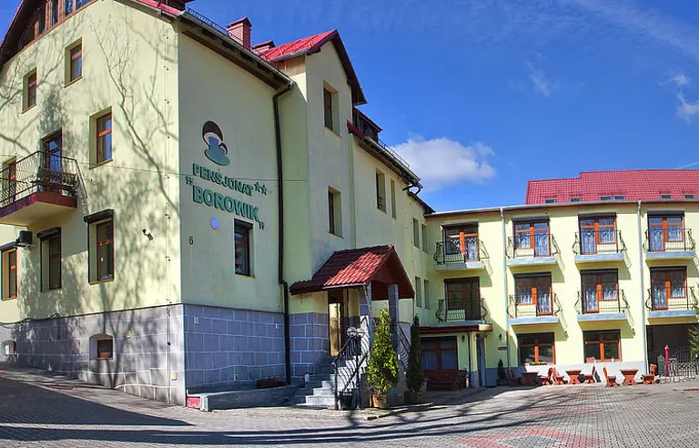Pensjonat Borowik - photo 1
