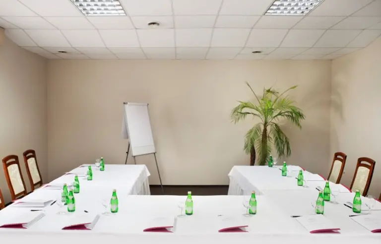 Park Hotel Łysoń & SPA - zdjęcie 1