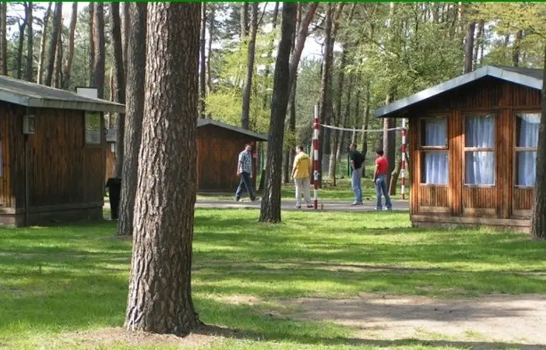 Sosnowy Las - zdjęcie 1