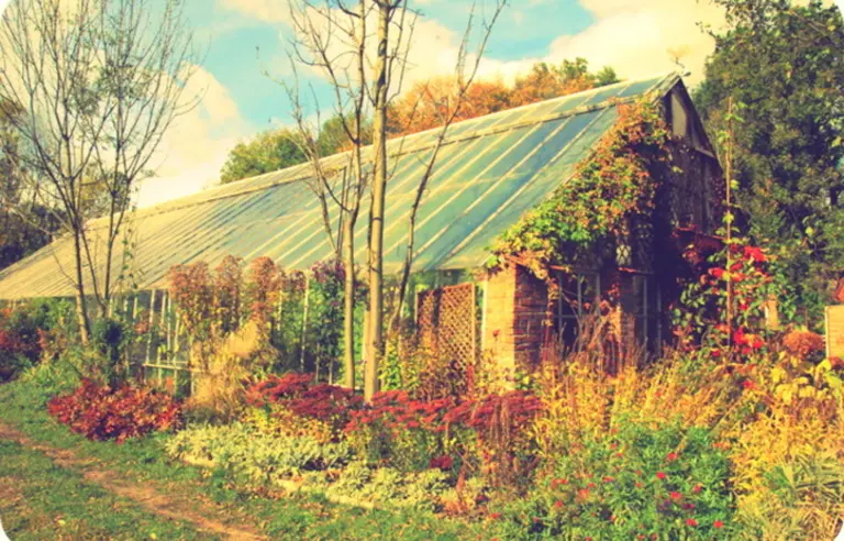 Stara Oranżeria Lesznowola