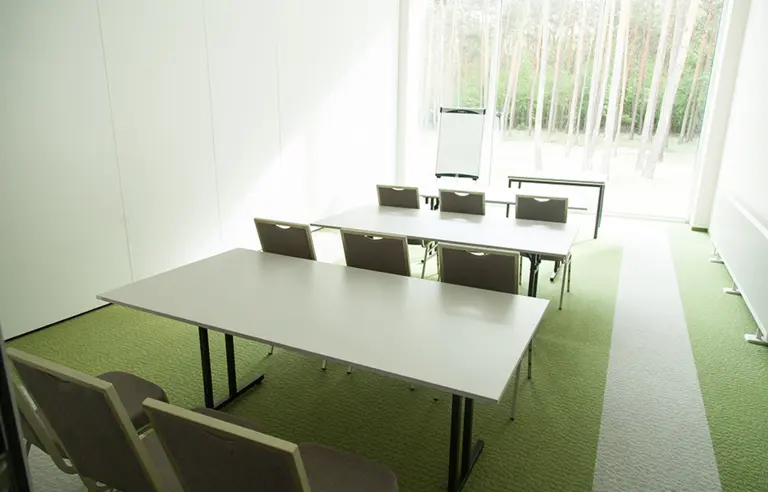 Papaver Hotel Slesin sala konferencyjna Konwaliowa