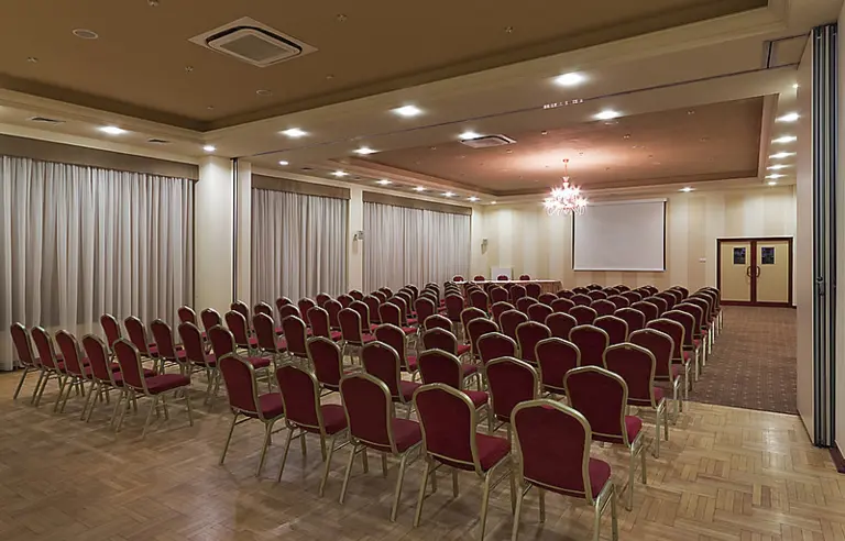 Warmiński Hotel & Conference - photo 1