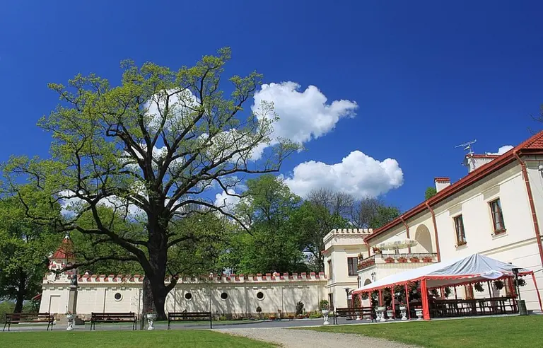 Zamek Dubiecko - photo 1