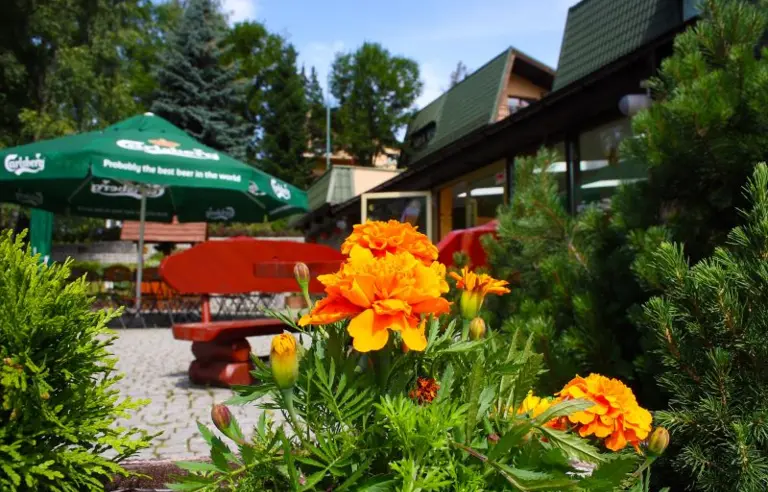 Ośrodek Rehabilitacyjno Wypoczynkowy Gawra - photo 1