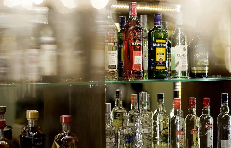 HOTEL I RESTAURACJA „CONSTANCJA” - photo 1