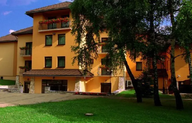 Hotel Restauracja Victoria - photo 1