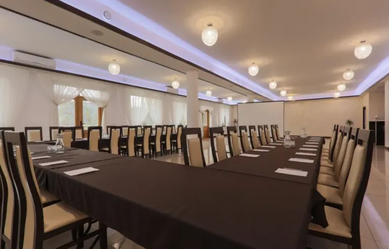 Hotel Łaziska - photo 1