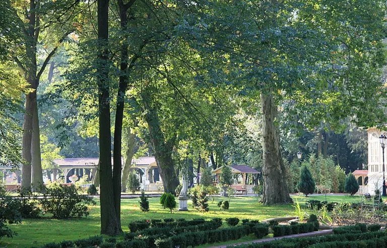 Park pałacowy