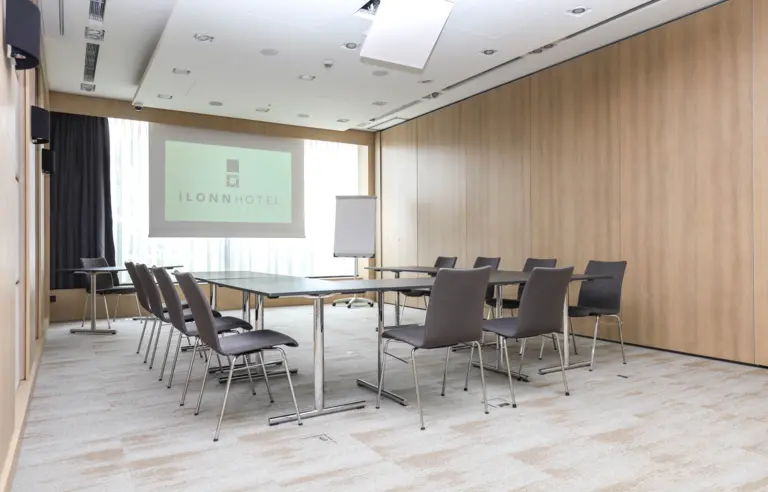 Ilonn Hotel - photo 1