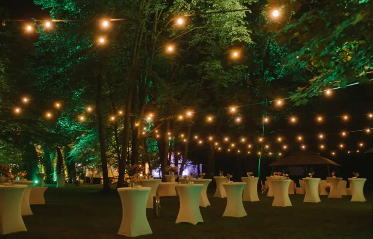 Pałac Żółwin - photo 1