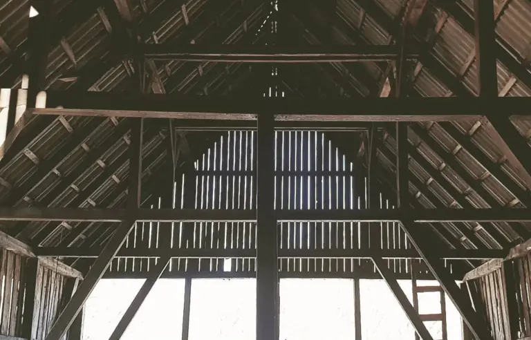 Mayovka Leśnianówka eventy