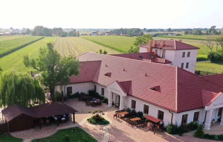 Dwór Soplicowo Bielawy