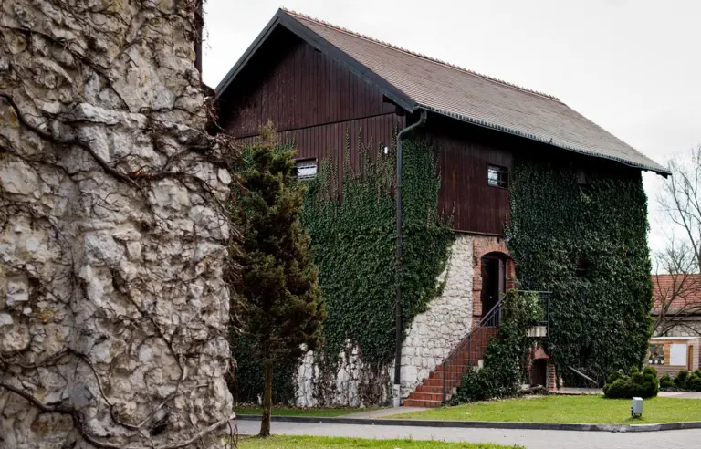 Dwór w Tomaszowicach - photo 1