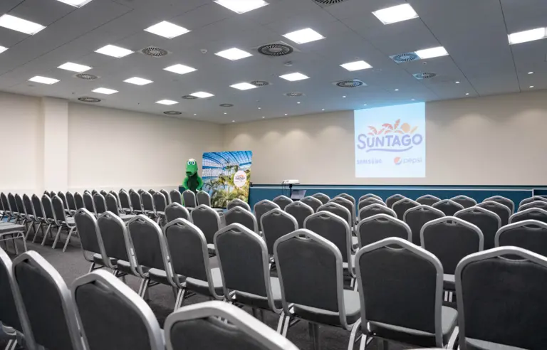 Ustawienie teatralne