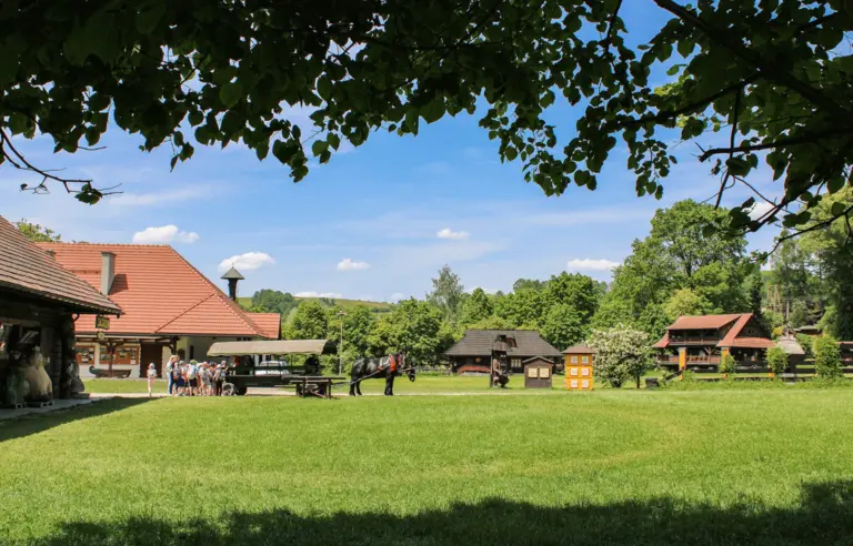 Gospodarstwo Pasieczne  Sądecki Bartnik - zdjęcie 1
