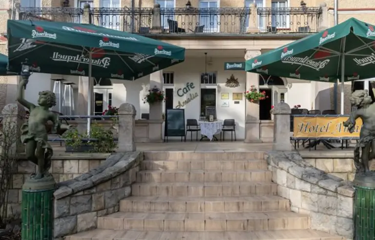 Hotel Amalia - photo 1