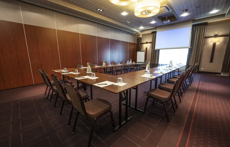 Sala typu N Panorama Mszczonów