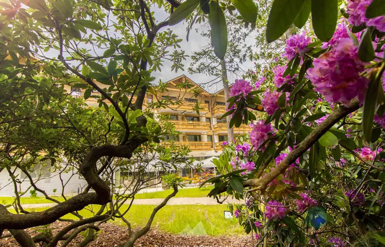 Platinum Mountain Hotel & SPA - photo 1