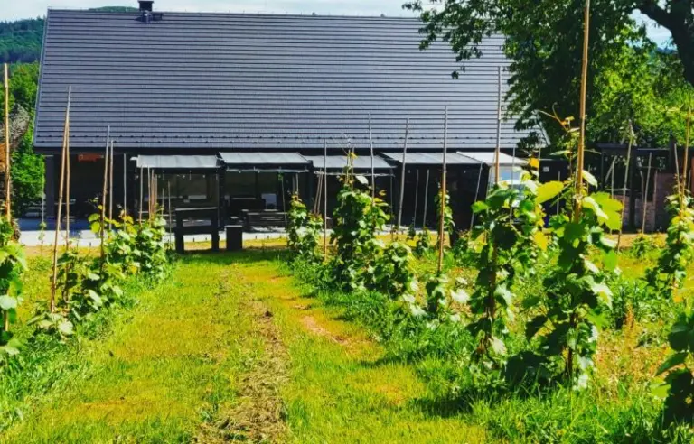 Zagroda Jutrzenki 5 Sulistrowice