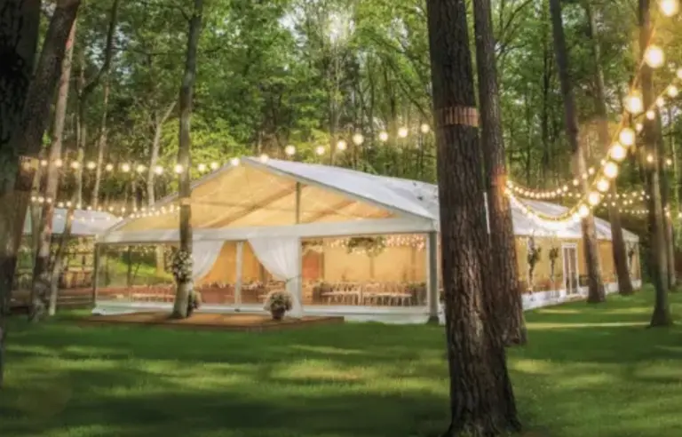 Planeta Events - photo 1