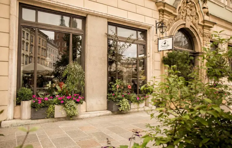 Restauracja Szara Gęś Kraków